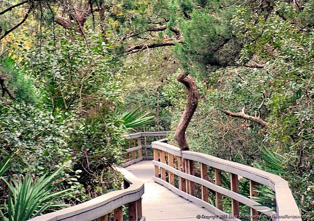 fort matanzas nature boardwalk2