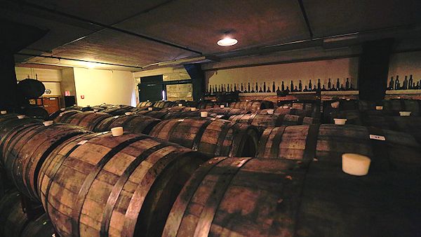 san sebastian wine barrels